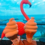 코코넛카페 : 나만의 맛집 지도, 뽈레 [코코넛카페] 제주특별자치도 제주시 애월읍 하귀2리