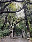 [카페 만디] 앨님의 리뷰 2024/10/19