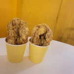 [훈훈 호떡] 자두맛푸딩님의 리뷰 2024/9/14