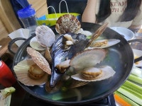 조개몽땅 - 묵동 조개 | 뽈레 Polle [조개몽땅] 묵동 조개 | 뽈레 Polle