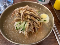 해주 육전냉면 - 가오동 냉면 | 뽈레 Polle [해주 육전냉면] 가오동 냉면 | 뽈레 Polle