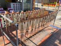 거진 동해바다 건어물 할인매장 - 거진읍 마트 | 뽈레 Polle [거진 동해바다 건어물 할인매장] 거진읍 마트 | 뽈레 Polle