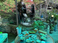 참숯 느티나무집 - 분당 돼지고기 | 뽈레 Polle [참숯 느티나무집] 분당 돼지고기 | 뽈레 Polle