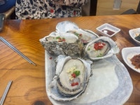 [소문난 전라도 맛집] 제비추리야님의 리뷰 2025/4/5