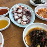 [오조해녀의 집] 먹짱님의 추천 포스트 2020/8/16