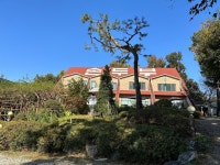 [두리원] Chloe님의 추천 리뷰 2023/10/29