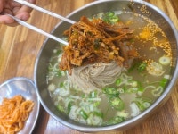 [서오릉 순메밀 막국수] 손무길님의 추천 리뷰 2023/3/28