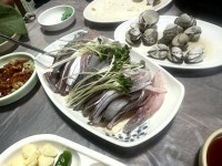 낭만의 광장 - 우아동2가 횟집 | 뽈레 Polle [낭만의 광장] 우아동2가 횟집 | 뽈레 Polle