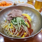 [삼대 국수회관 본점] 은하수님의 추천 리뷰 2020/8/15
