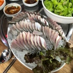 [돼지네 회 포장마차] 몽 !님의 추천 리뷰 2019/10/7