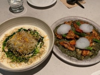 심퍼티쿠시 성수점 - 성수동1가 양식 | 뽈레 Polle [심퍼티쿠시 성수점] 성수동1가 양식 | 뽈레 Polle