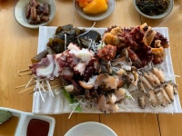 [해와달그리고섬] KRZ님의 추천 리뷰 2021/11/14