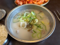 푸주옥 - 판교 설렁탕 | 뽈레 Polle [푸주옥] 판교 설렁탕 | 뽈레 Polle
