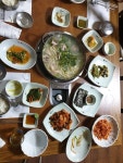 거창복어 - 계산동1가 복어 | 뽈레 Polle [거창복어] 계산동1가 복어 | 뽈레 Polle