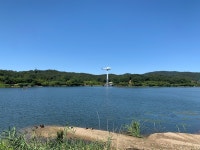 [율동공원] 이씬디님의 추천 포스트 2022/8/27