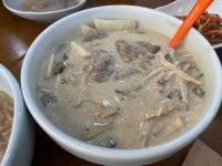 [다람쥐마을] 최고야님의 리뷰 2025/11/14