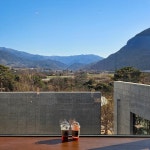 포레스톤 | 뽈레 Polle [포레스톤] | 뽈레 Polle