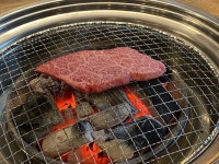 [신숯불탁탁 마장점] 귤두개님의 추천 리뷰 2022/12/15