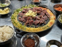 부산갈매기 - 도화동 고깃집 | 뽈레 Polle [부산갈매기] 도화동 고깃집 | 뽈레 Polle