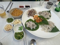 장사항 활어회 직판장 - 장사동 횟집 | 뽈레 Polle [장사항 활어회 직판장] 장사동 횟집 | 뽈레 Polle