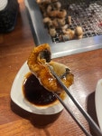 천년풍천장어 - 관양동 장어구이 | 뽈레 Polle [천년풍천장어] 관양동 장어구이 | 뽈레 Polle