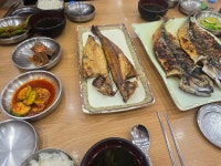 [생선 굽는 마을] 맛집써치중님의 리뷰 2025/6/26