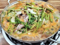 [애경이네 2호점] 추군의 태양님의 좋음 리뷰 2023/11/19