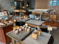 [잡학다식] 소야님의 추천 리뷰 2022/11/20