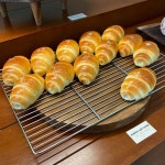 [프레스 베이커리] 소영이님의 리뷰 2025/1/21