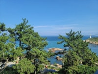 메르 데 쿠르 - 기장읍 카페 | 뽈레 Polle [메르 데 쿠르] 기장읍 카페 | 뽈레 Polle