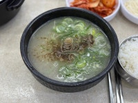 영동 설렁탕 - 가로수길 설렁탕 | 뽈레 Polle [영동 설렁탕] 가로수길 설렁탕 | 뽈레 Polle