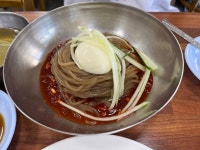 [옥천 고읍냉면] PPoZZak님의 리뷰 2023/8/5