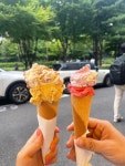 [크림하우스 아이스크림 파티세리] 데굴이님의 리뷰 2024/9/1
