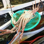 [대영유통] Luscious.K님의 별로 리뷰 2016/6/8