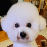 일공이공 (@1020) | 뽈레 Polle