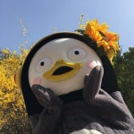 [짬뽕타임] 부리부리•_•님의 좋음 포스트 2017/7/9