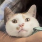 [팔도국밥 알파시티점] 규리랑님의 추천 리뷰 2022/10/30