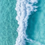 따따 (@eoeo) | 뽈레 Polle