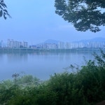 낭만식객이 (@machoman86) | 뽈레 Polle