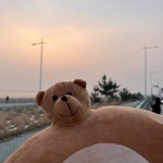 냠냐밍 (@_yummy_) | 뽈레 Polle