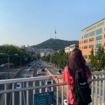 [장미찜닭] 인어공주지련님의 좋음 포스트 2020/5/1