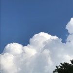 [콩지 팥지] 손무길님의 좋음 리뷰 2020/5/2