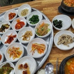 꿀 (@popop001) | 뽈레 Polle