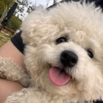 malik (@jmormalik) | 뽈레 Polle