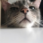 [탕화쿵푸 마라탕 용산 28호점] 부😺님의 추천 리뷰 2019/3/20