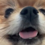 Joy (@blueocean_) | 뽈레 Polle