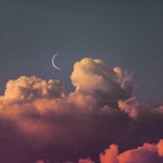 [밀모샵] 베리님의 별로 리뷰 2019/3/30