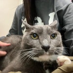 [담소소사골 순대 육개장 삼성1호점] 최쿠키님의 리뷰 2026/1/5