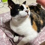 sahell (@qldusmoon) | 뽈레 Polle