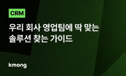 CRM, 우리 회사 영업팀에 딱 맞는 솔루션 찾는 가이드 - 크몽